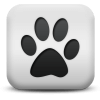 Captcha image 5874